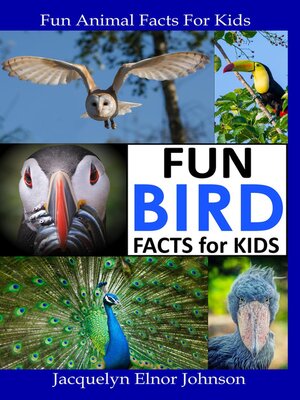 cover image of Fun Bird Facts for Kids